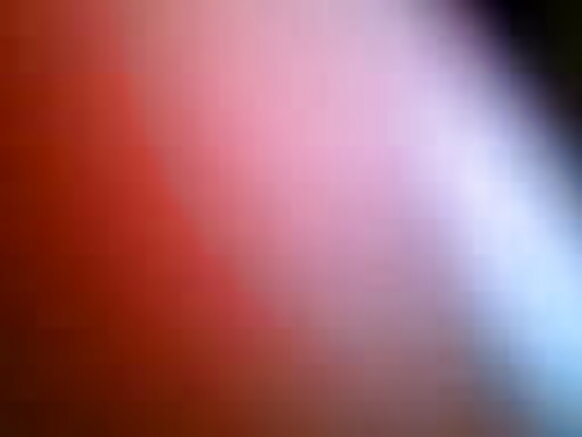 நேபாளன்