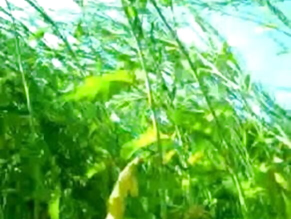 கவர்ச்சியான திரைப்பட காட்டில் ஜோடி