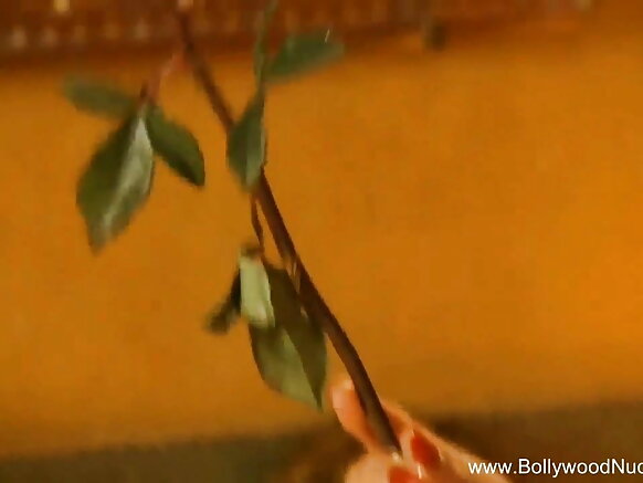 இந்திய காதலன் ஆங்கில நீல வீடியோவாக மட்டுமே மாறுகிறார்